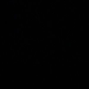 Meet your Posher, Owen